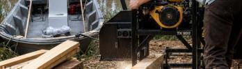 A Court Day: Ash Trees, Walnut Trees, and the Power of the Tk900