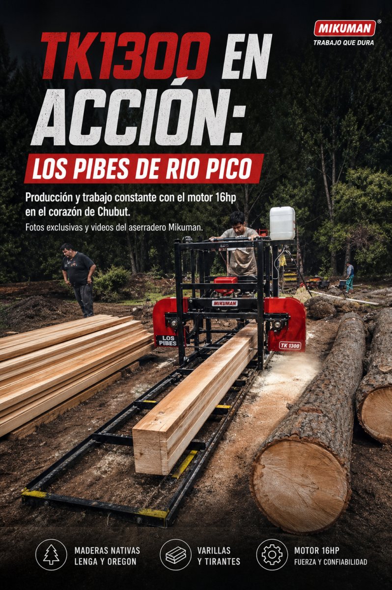 Imagen del Articulo