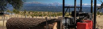 ### Discover the Power of the TK2400 Portable Sawmill: The Revolution in Trevelin