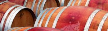 De Troncos a Barricas: Oportunidades en la Industria del Vino y la Cerveza Artesanal