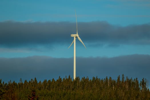 Image of the news